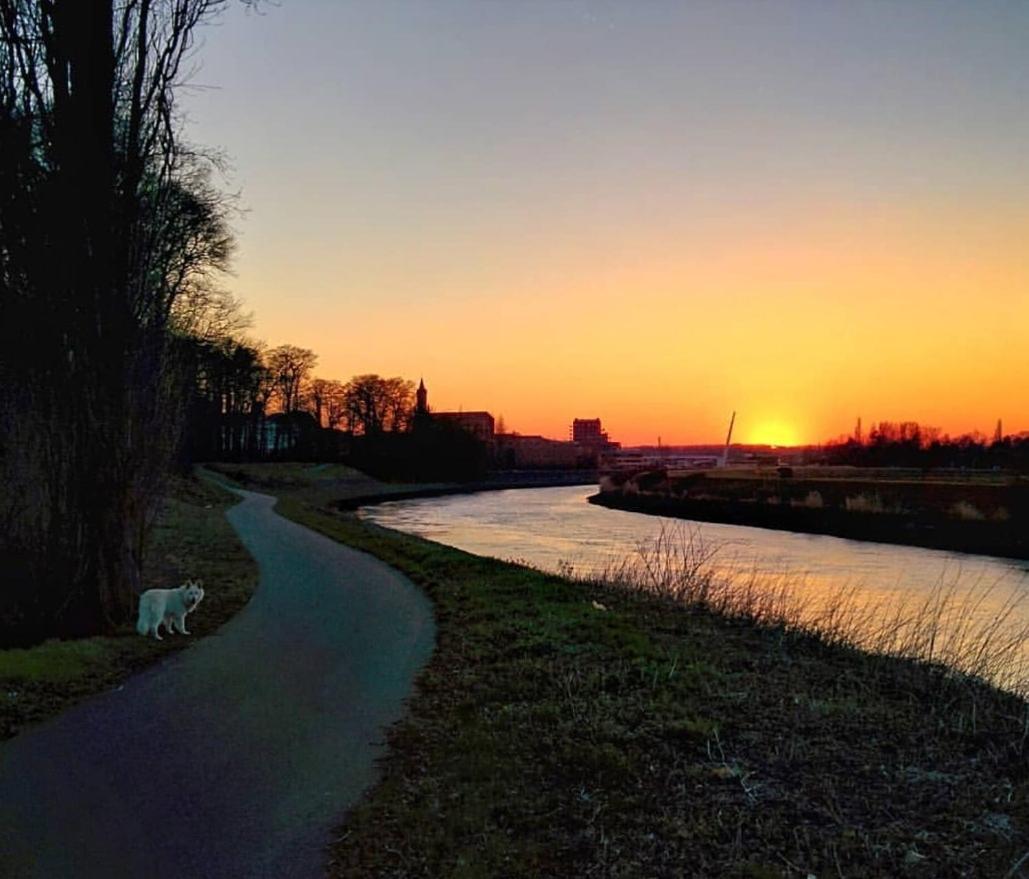 Heusden B&B Close2Ghent المظهر الخارجي الصورة